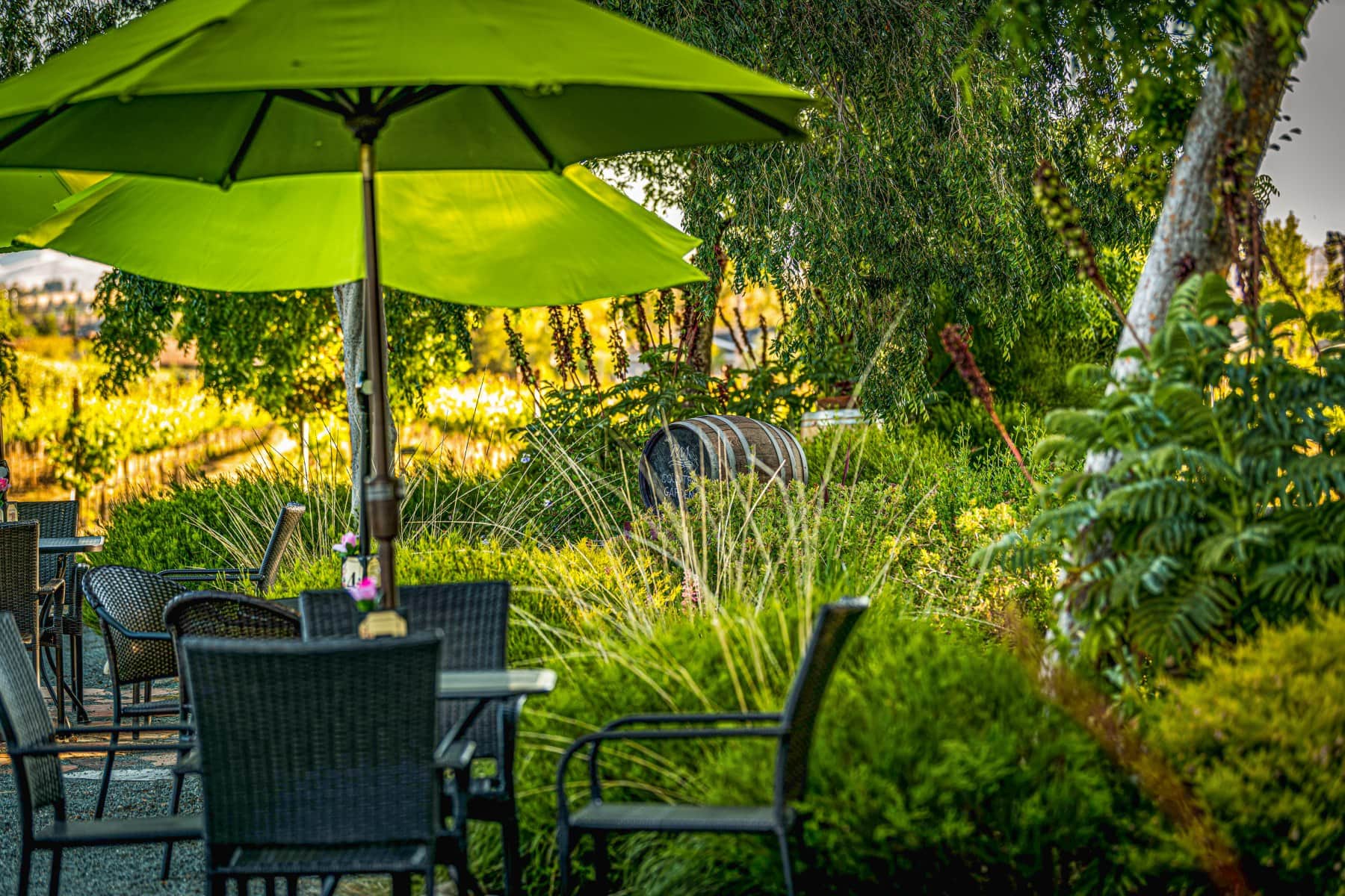 RM picnic tables with bright green umbrellas in the native California plant garden with used barrels