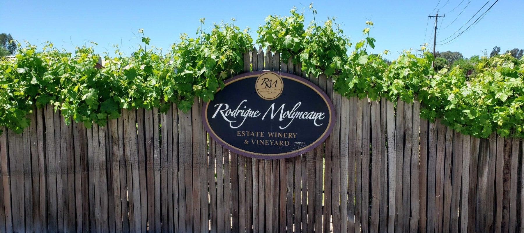 Wooden fence at the entrance to the property with an oval “Rodrigue Molyneux” sign with Barbera grape vines growing along the top and a blue sky.