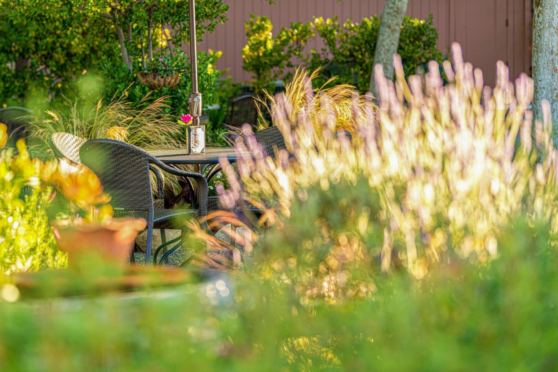 Green shrubbery in the foreground and an empty round garden table with chairs lit with morning sunlight in the background