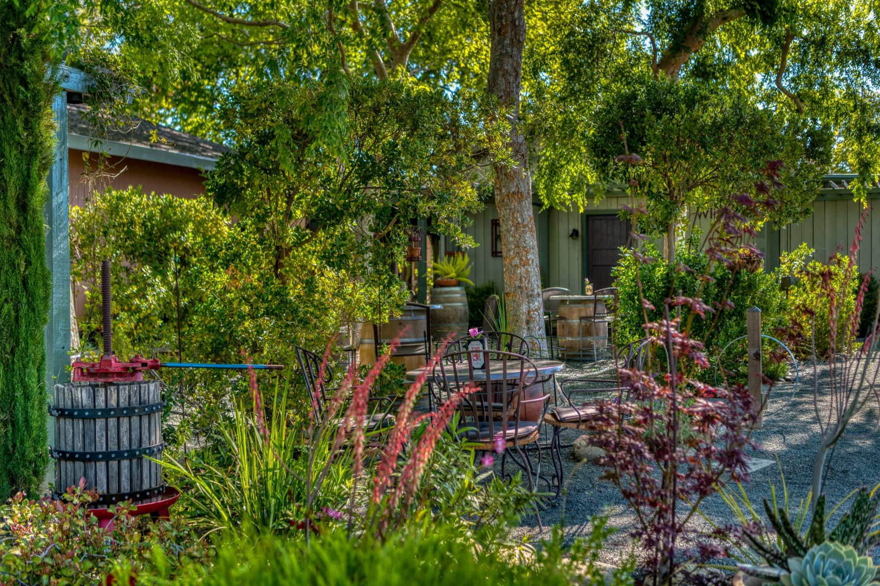 Native plants and shrubs in our native garden with an old wooden wine press with a red handle that sits near the guest tables