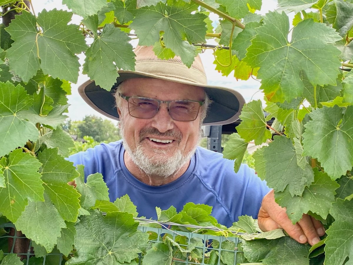 Owner Garry peaking through grape vines