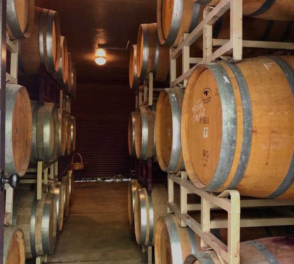 Barrels of wine stored in a vineyard.